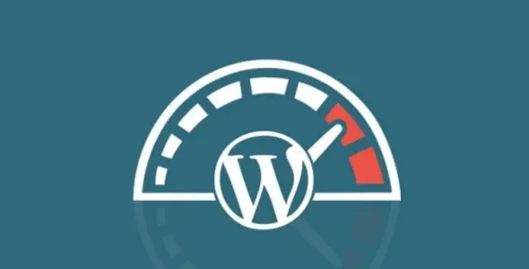 WordPress主题访问速度优化的10种方法技巧