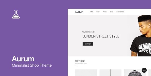 Aurum 4.0.12 – WordPress 和 WooCommerce 购物主题