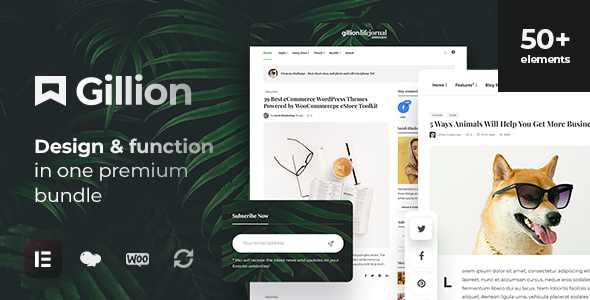 Gillion 4.14.1 – 多概念博客 / 杂志与购物 WordPress AMP 主题