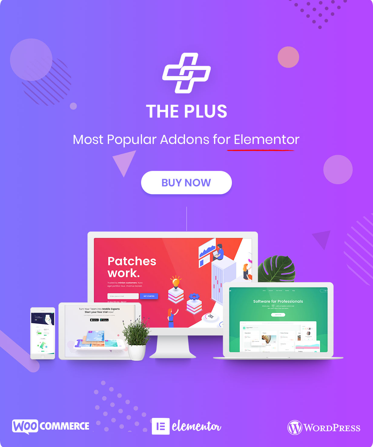 Plus 6.4.8——Elementor 页面构建器 WordPress 插件