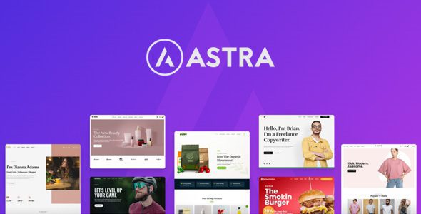 Astra 主题 4.12.0 + Portfolio 1.13.3 – 最受欢迎的 WordPress 主题