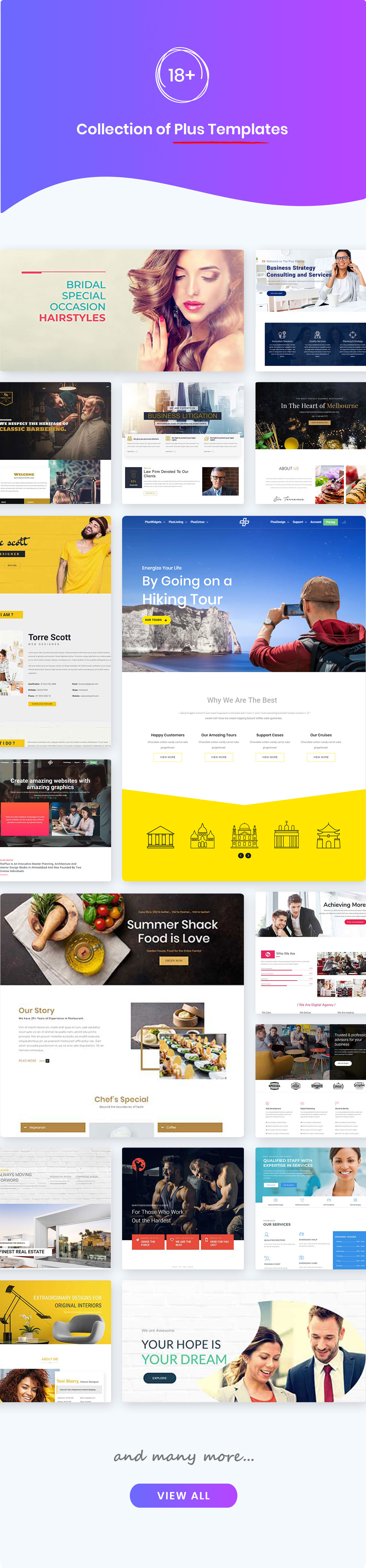 Plus 6.4.8——Elementor 页面构建器 WordPress 插件